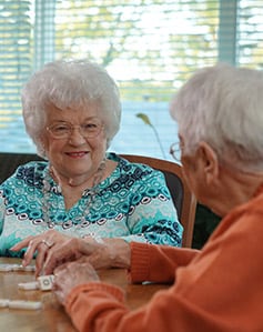 what is assisted living